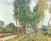 Alfred Sisley Ufer der Loing bei Moret oil painting reproduction